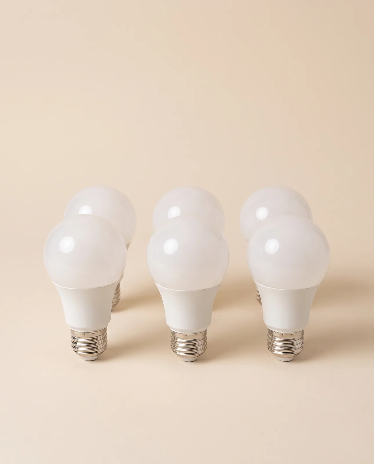 Everyday A19 LED Bulb — 6 pack