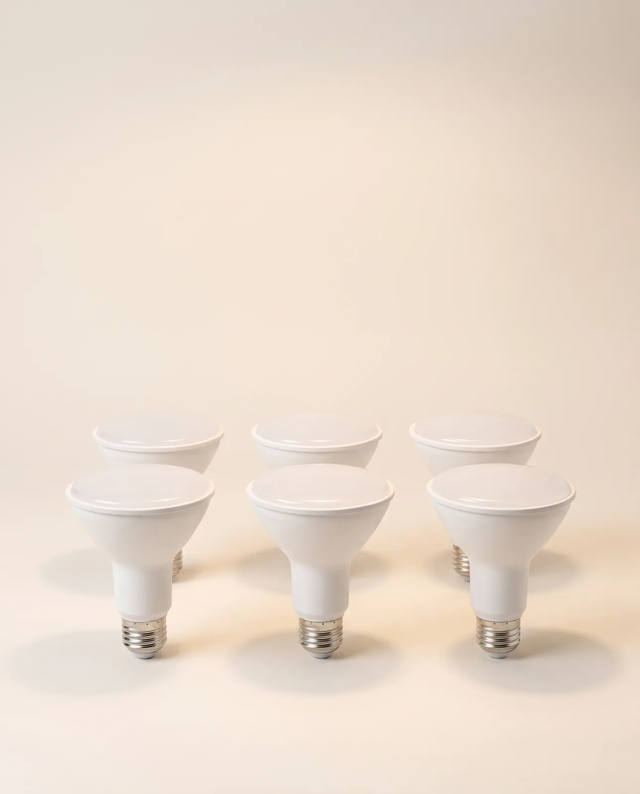 Everyday BR30 LED Flood — 6 pack